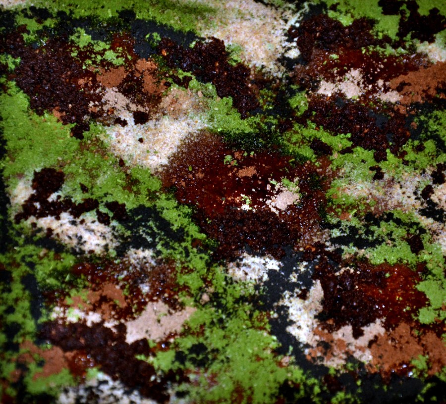 Dessert featuring hare's blood, foie gras, coffee foam, and hazelnuts