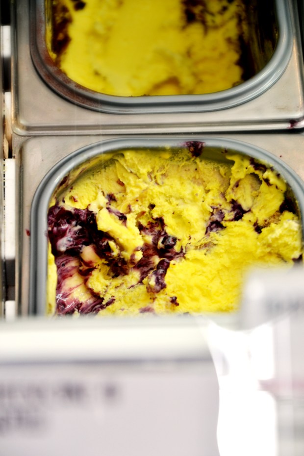 blueberry cheesecake gelato